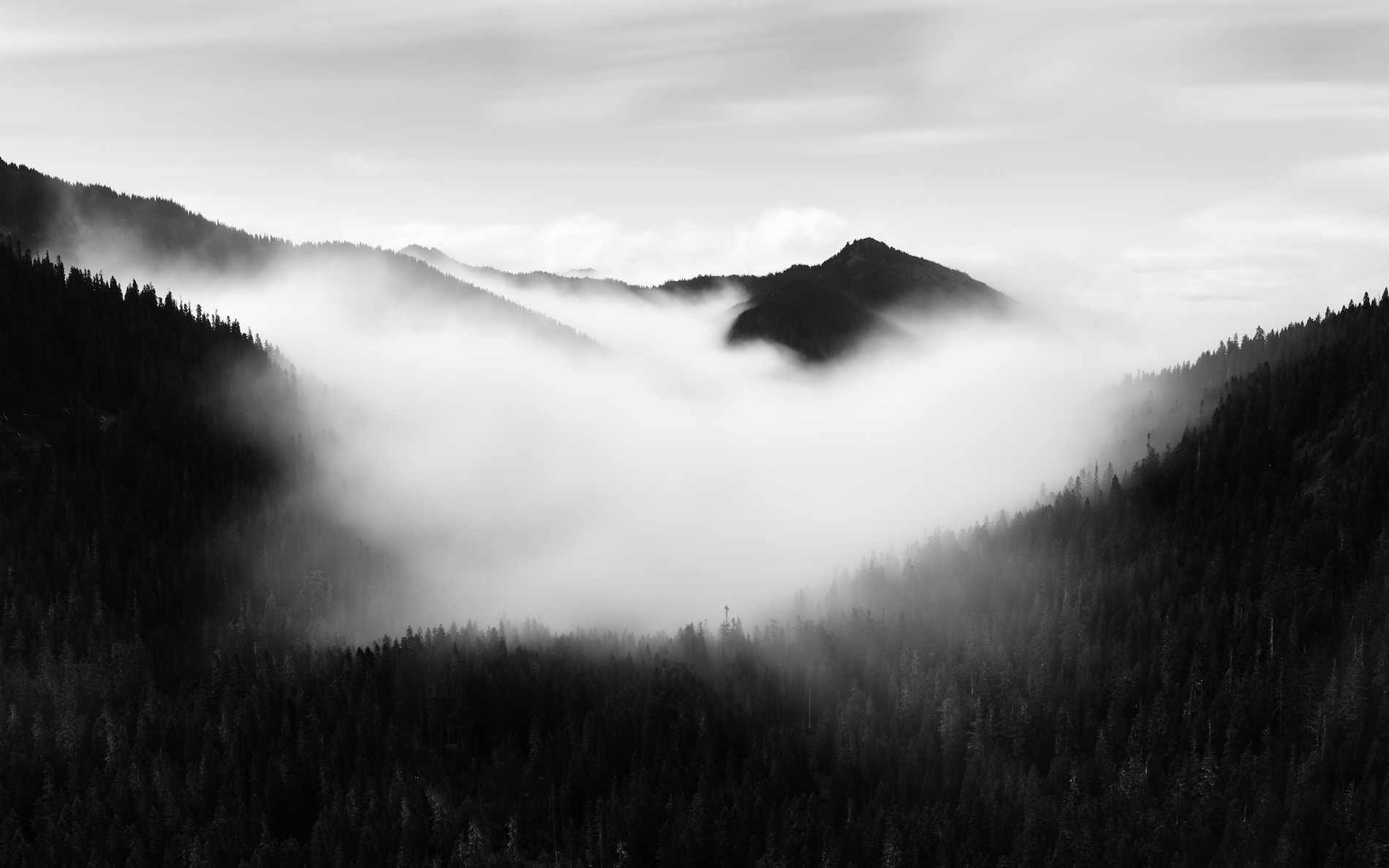 Auspicious Landscape